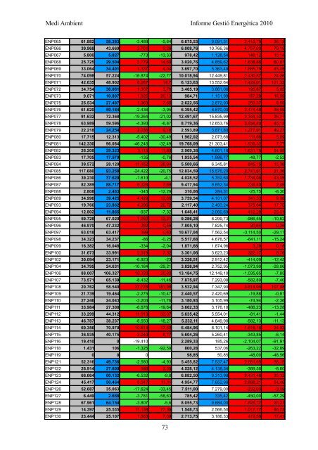 INFORME GESTIÓ ENERGÈTICA DEL 2010