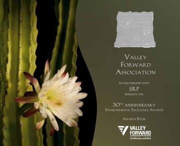 Valley Forward Association