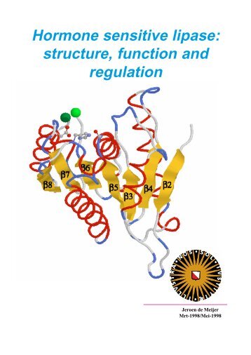 Hormone sensitive lipase: structure, function and ... - Demeijer R