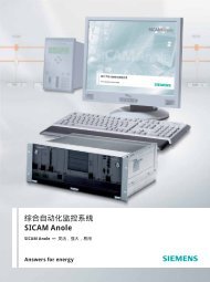 SICAM Anole