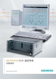 SICAM PAS V5.0 监 控 系 统 6MD69