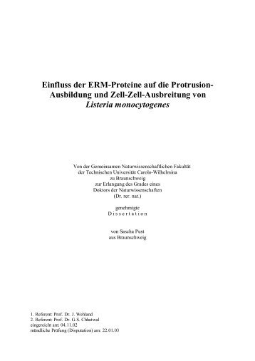 Einfluss der ERM-Proteine auf die Protrusion- Ausbildung und Zell ...