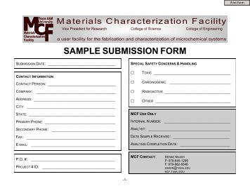 thesis submission tamu