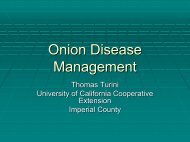 Onion Disease Management