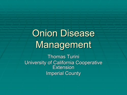 Onion Disease Management