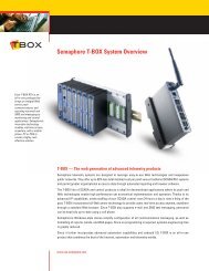 Semaphore T-BOX System Overview costeffective