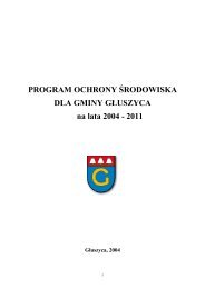 PROGRAM OCHRONY ŚRODOWISKA DLA GMINY GŁUSZYCA na lata 2004 - 2011