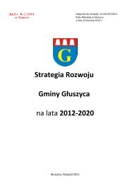 Strategia Rozwoju Gminy Głuszyca na lata 2012-2020