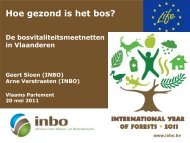 Hoe gezond is het bos?