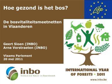 Hoe gezond is het bos?