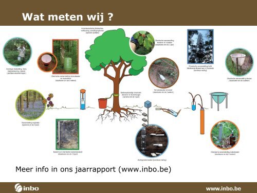 Hoe gezond is het bos?