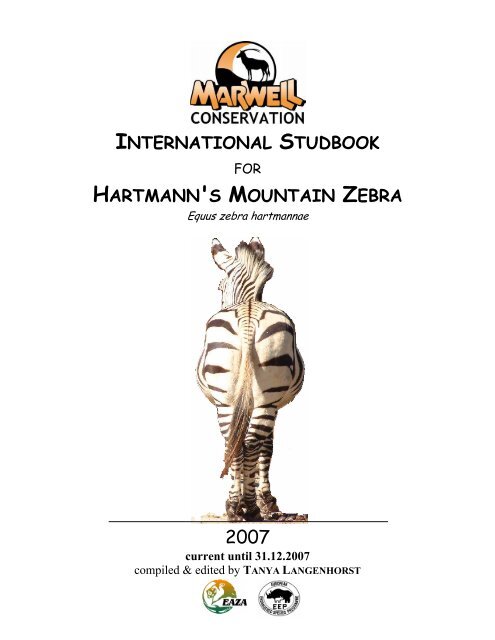 international studbook hartmann's mountain zebra - Marwell Zoo