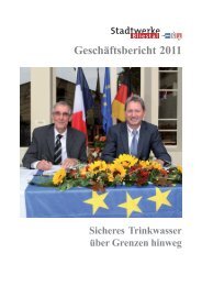 1. Januar bis 31. Dezember - Stadtwerke Bliestal