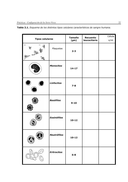 CONFIGURACIÓN DE LOS SERES VIVOS GUIÓN DE PRÁCTICAS