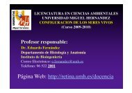 Página Web http://retina.umh.es/docencia