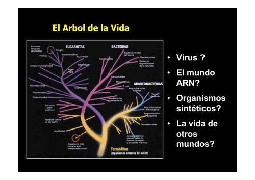 Página Web http://retina.umh.es/docencia