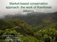 Market-based conservation approach the work of Rainforest Alliance