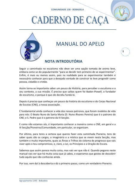 MANUAL DE ADES_O.pdf