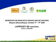 LAPROVET ND vaccines