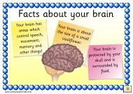 Facts about your brain