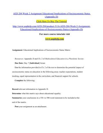 appendix essay