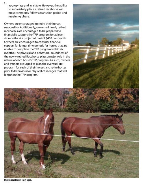 Retired Racehorses