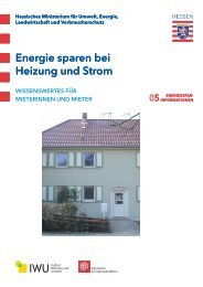Energie sparen bei Heizung und Strom - Institut Wohnen und ...