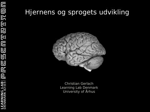 Hjernens og sprogets udvikling