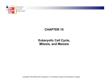 CHAPTER 15 Eukaryotic Cell Cycle Mitosis and Meiosis