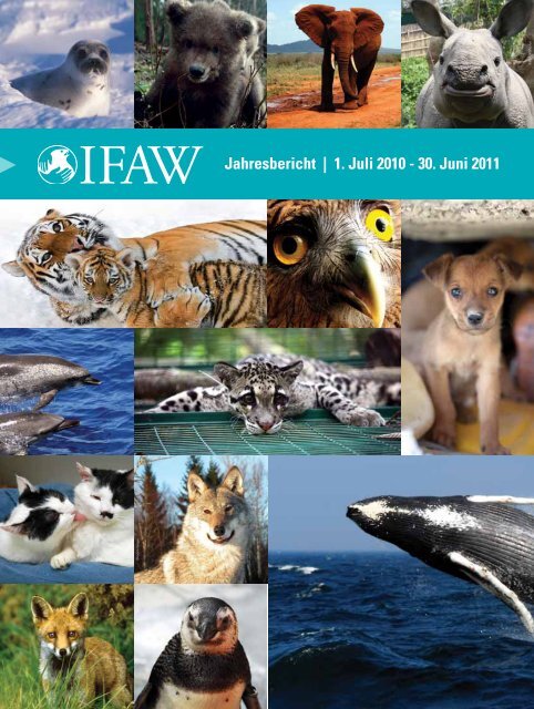 1. Juli 2010 - 30. Juni 2011 - International Fund for Animal Welfare