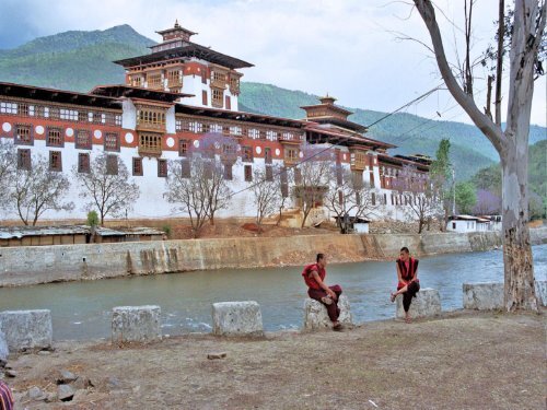 Exhilarating Bhutan Biking Tours for a Memorable Bhutan Travel.pdf