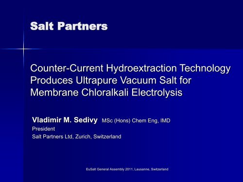 Salt Partners