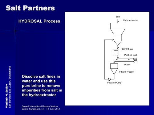 Salt Partners