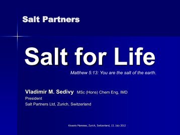 Salt Partners