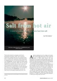 Vladimir M. Sedivy: Salt from hot air - KREBS SWISS