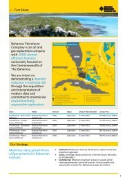 Bahamas Petroleum Company Factsheet