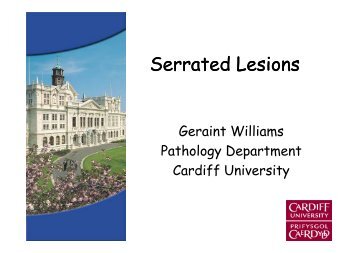 Serrated Lesions