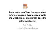 Fatty liver disease - Virtual Pathology at the University of Leeds