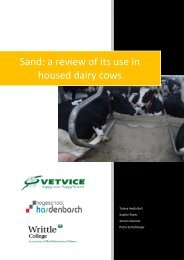 Sand a review of its use in housed dairy cows