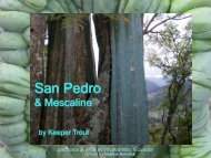 San Pedro