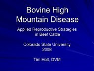 Bovine High Mountain Disease