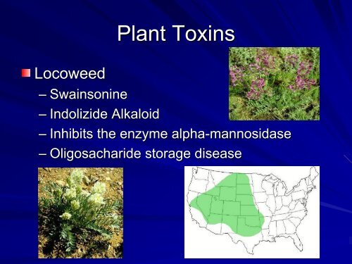 Bovine High Mountain Disease