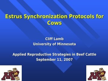 Estrus Synchronization Protocols for Cows