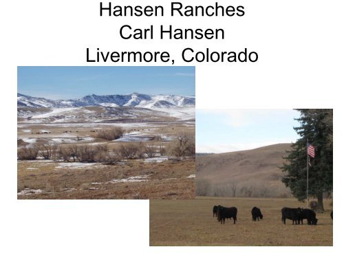 Hansen Ranches Carl Hansen Livermore Colorado