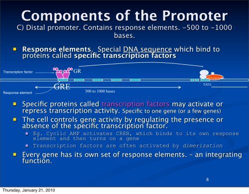 Cell Nucleus