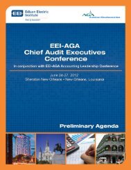 2012 EEI-AGA Chief Audit Executives Conference - Brochure