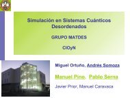 Simulación en Sistemas Cuánticos Desordenados Manuel Pino Pablo Serna