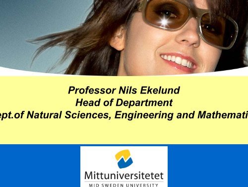 Head of Department pt.of Natural Sciences Engineering and Mathematic