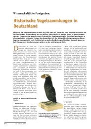 Historische Vogelsammlungen in Deutschland - Der Falke