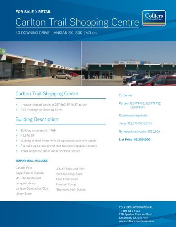 Brochure - Saskatoon SW - 40 Downing Drive, Lanigan.indd